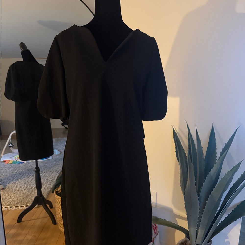 Express Classic Black Mini Dress
